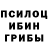 Псилоцибиновые грибы мухоморы Juliet Age