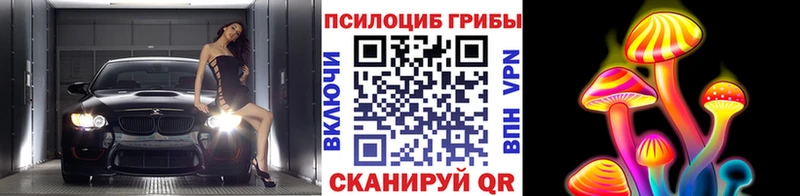 наркотики  Ачхой-Мартан  Псилоцибиновые грибы Psilocybine cubensis 