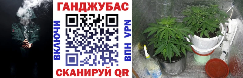 Каннабис марихуана где купить наркоту Ачхой-Мартан